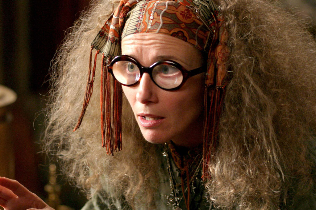 harry potter trelawney dumbledore fan theory