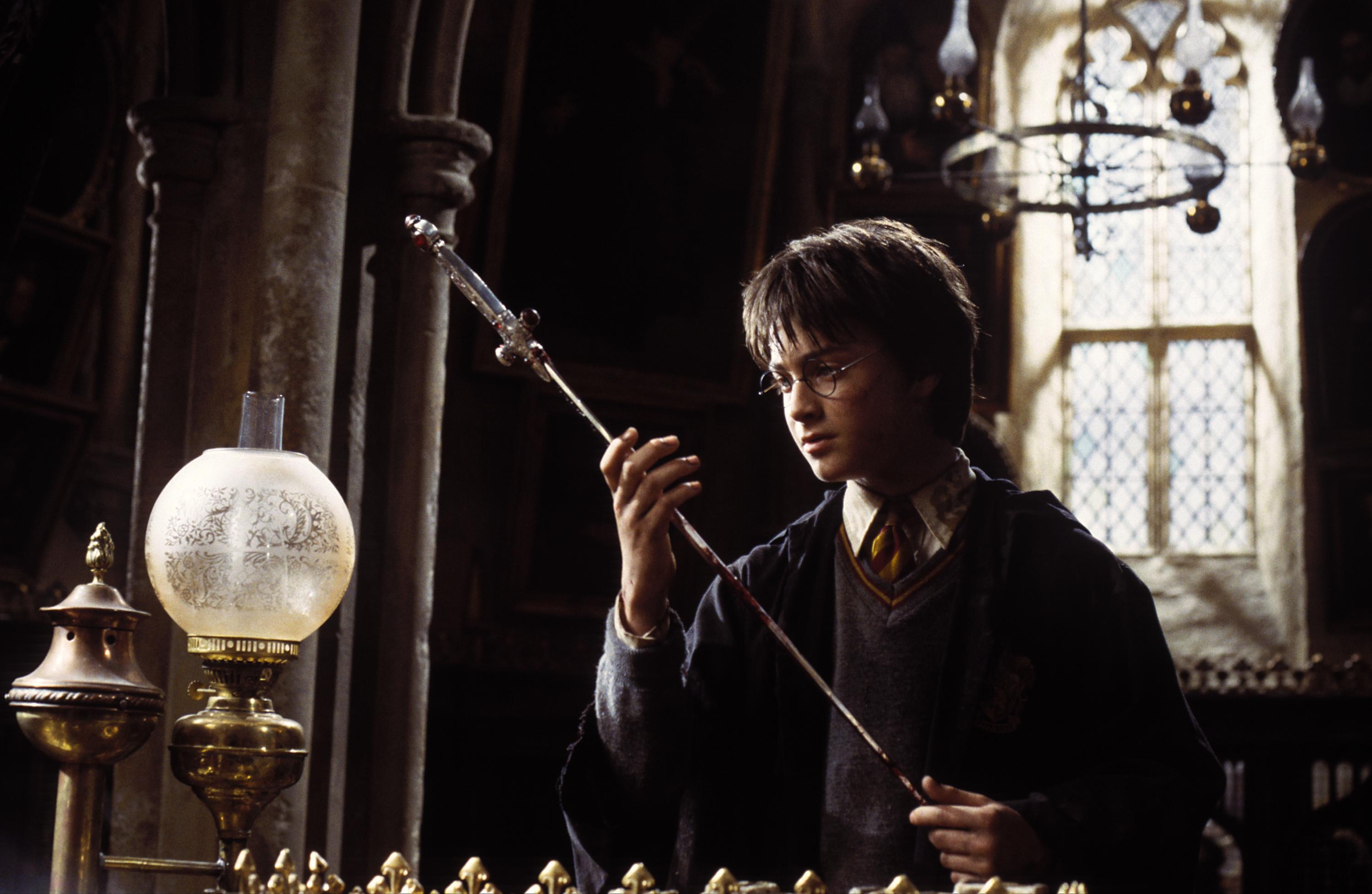 hp fan theories 39