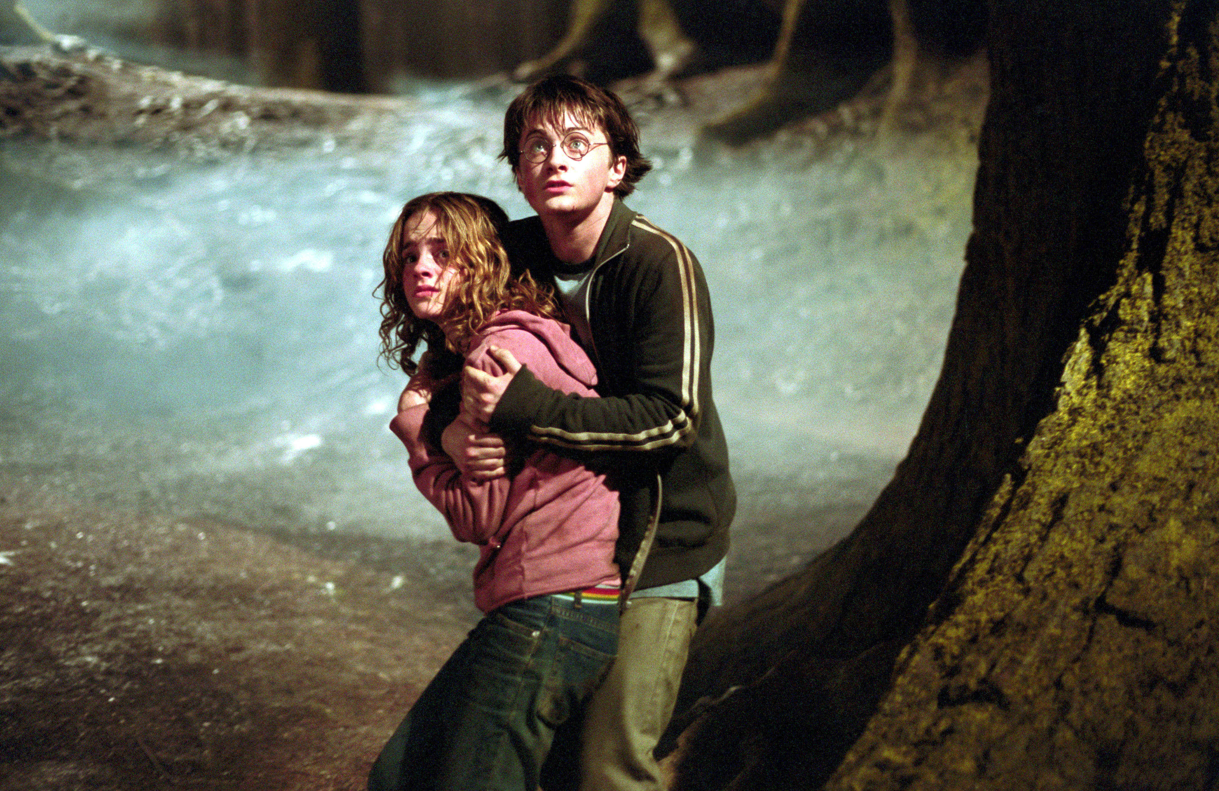 hp fan theories 35