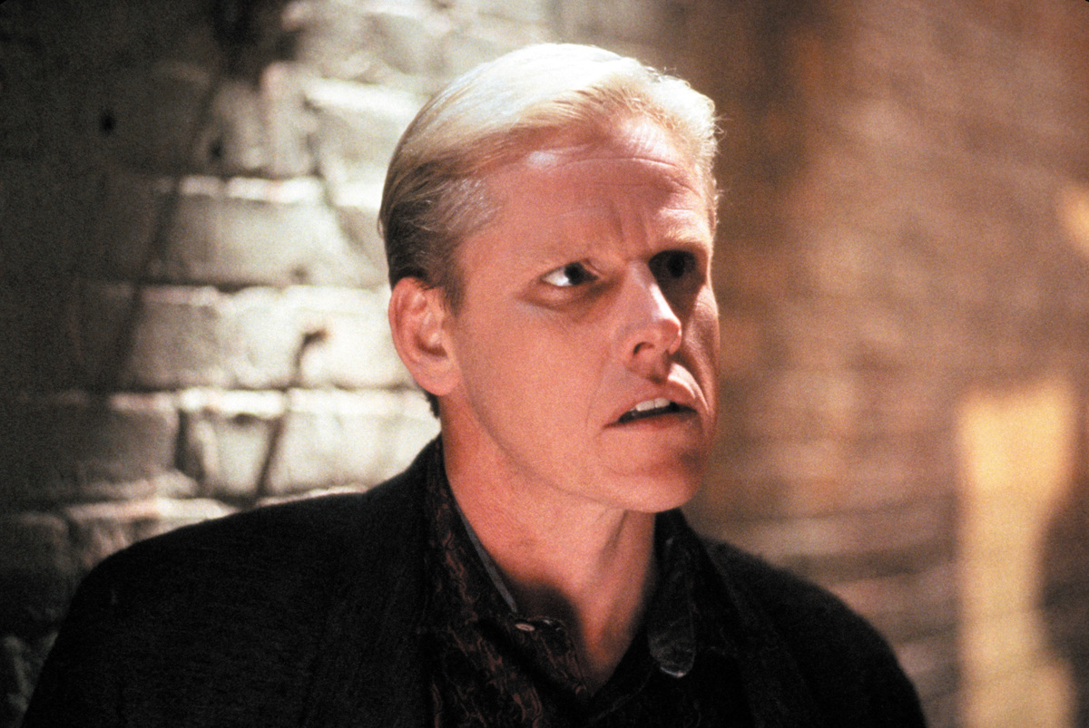 garey busey starred in lethal weapon and walker texas ranger