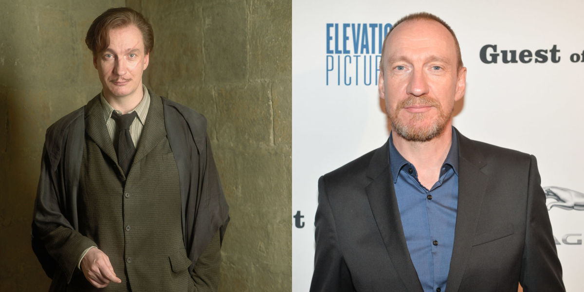 David Thewlis