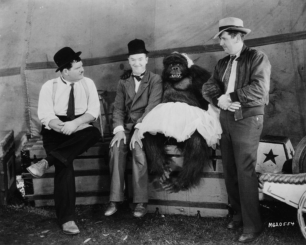 filming of 'The Chimp'