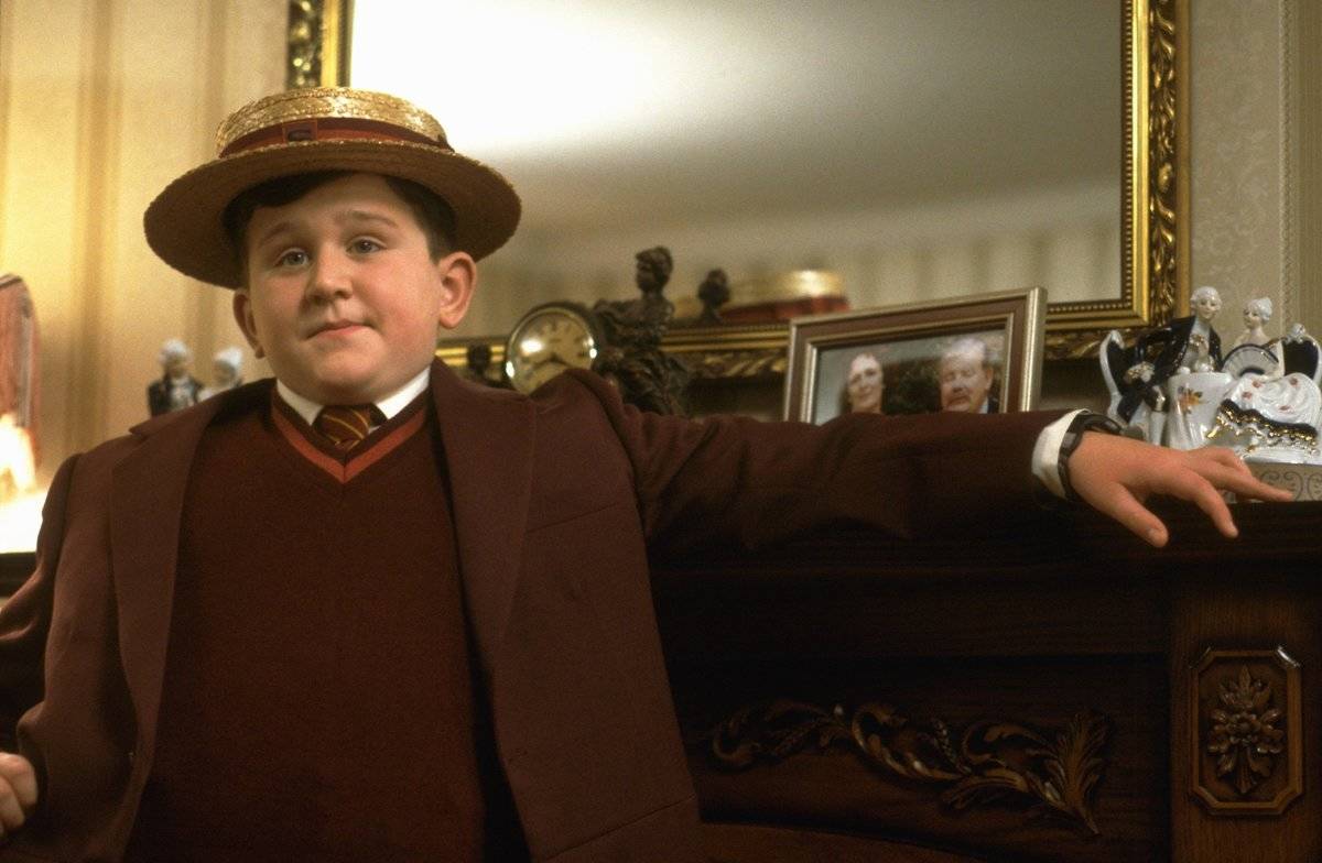Dumbledore Sat Back And Watched The Dursley's Abuse Harry