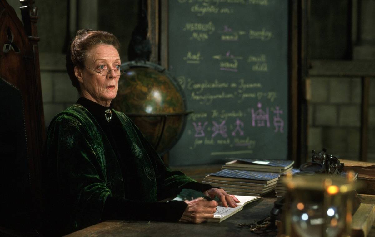Where Do Pure-Bloods Go To School Before Hogwarts