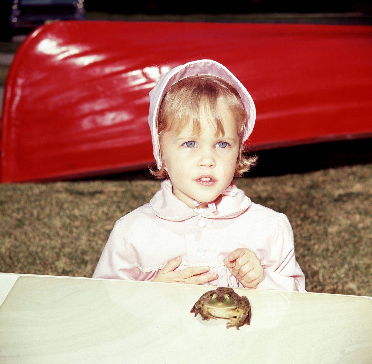 After Bewitched, Murphy Worked Odd Jobs