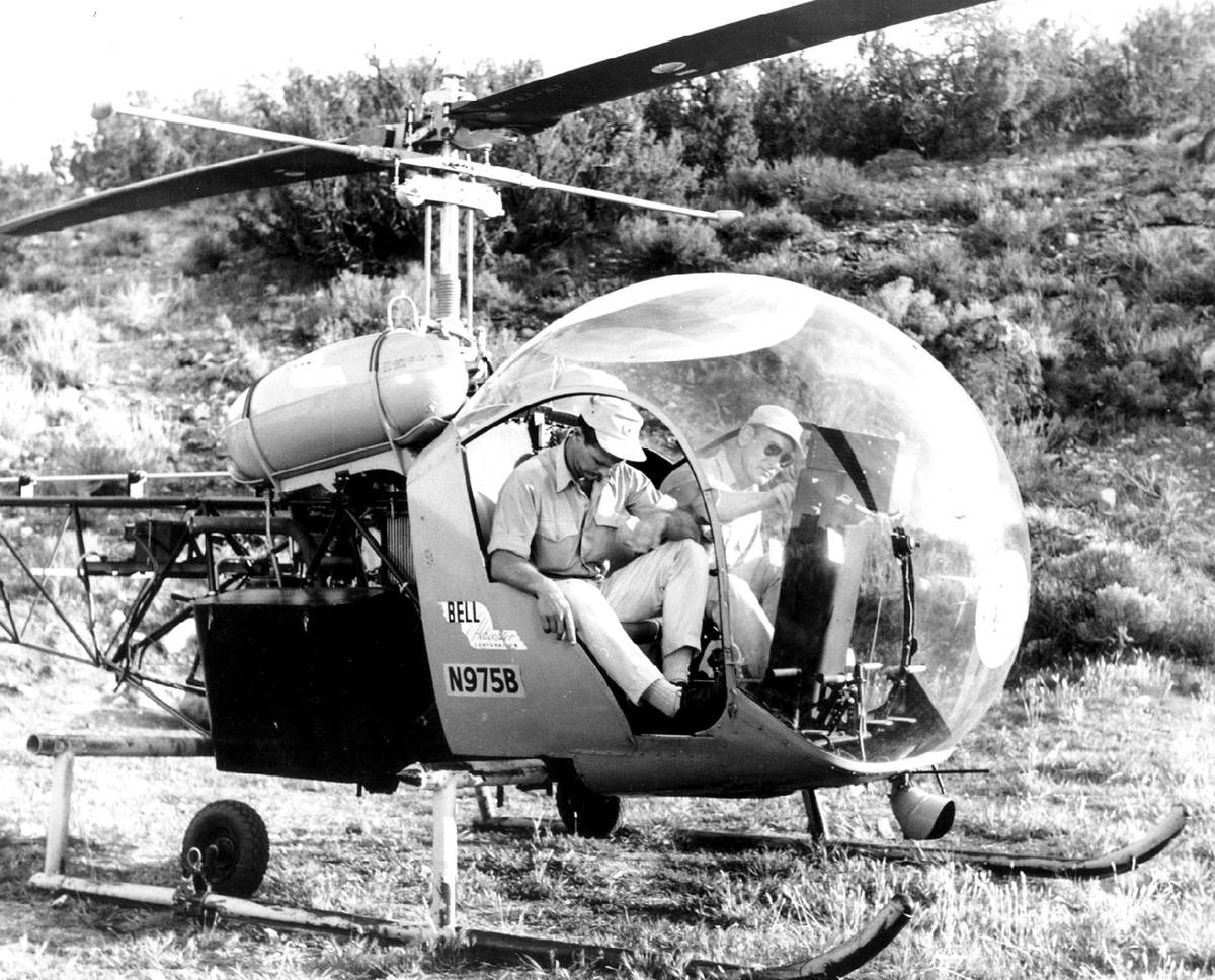 whirlybirds