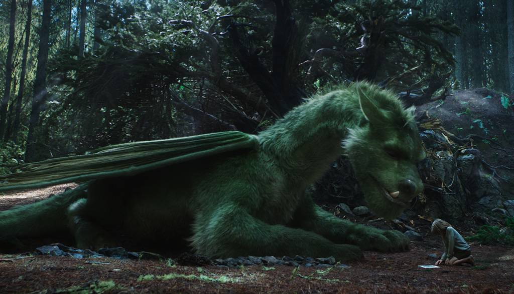 Picture of the kid and his dragon
