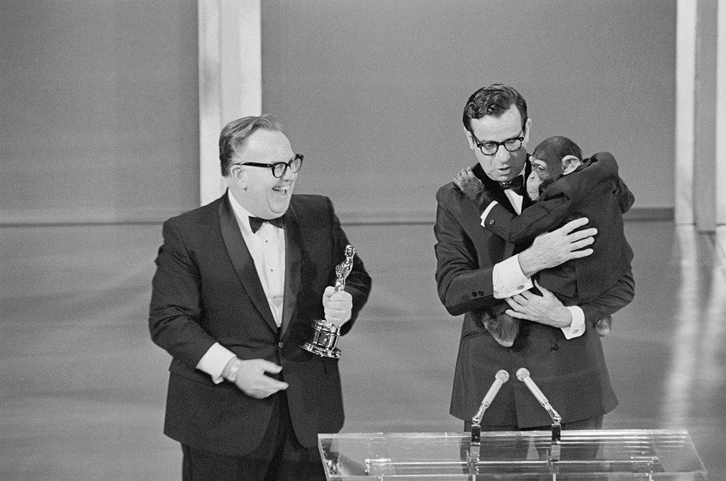 Man with a chimp 