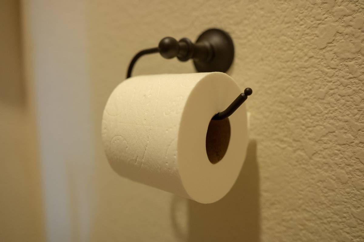 single roll of toilet paper