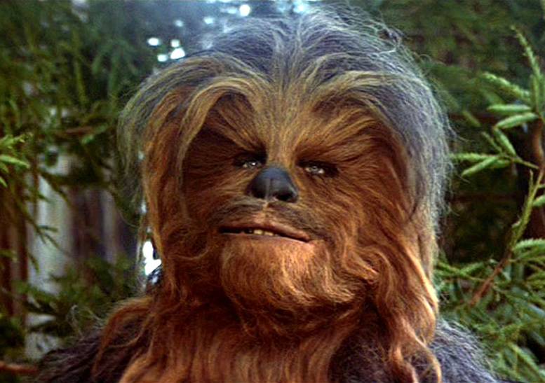 Chewbacca in Return of the Jedi