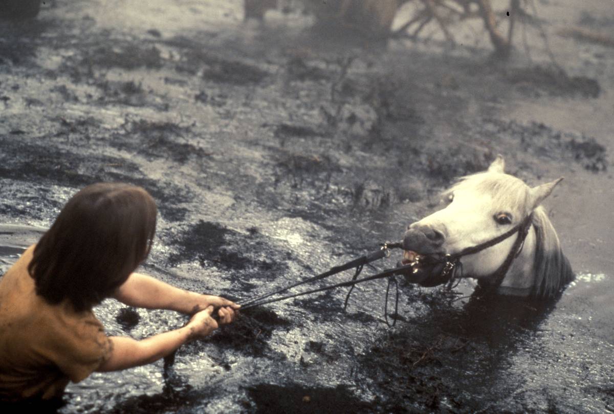Movie still from The NeverEnding Story
