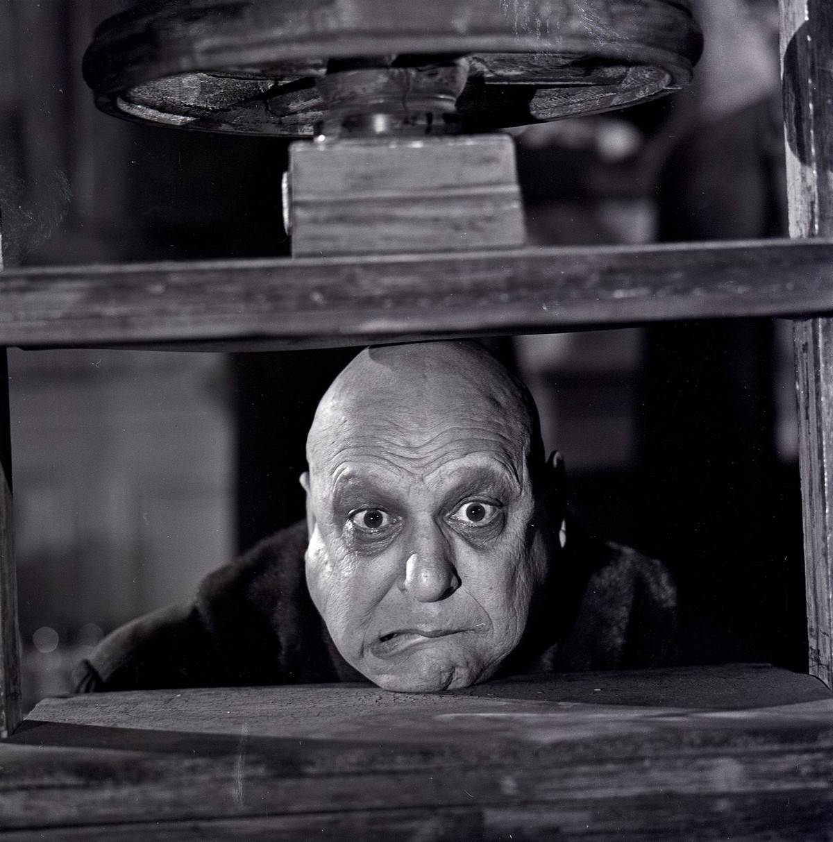 the-addams-family_IJTq2M