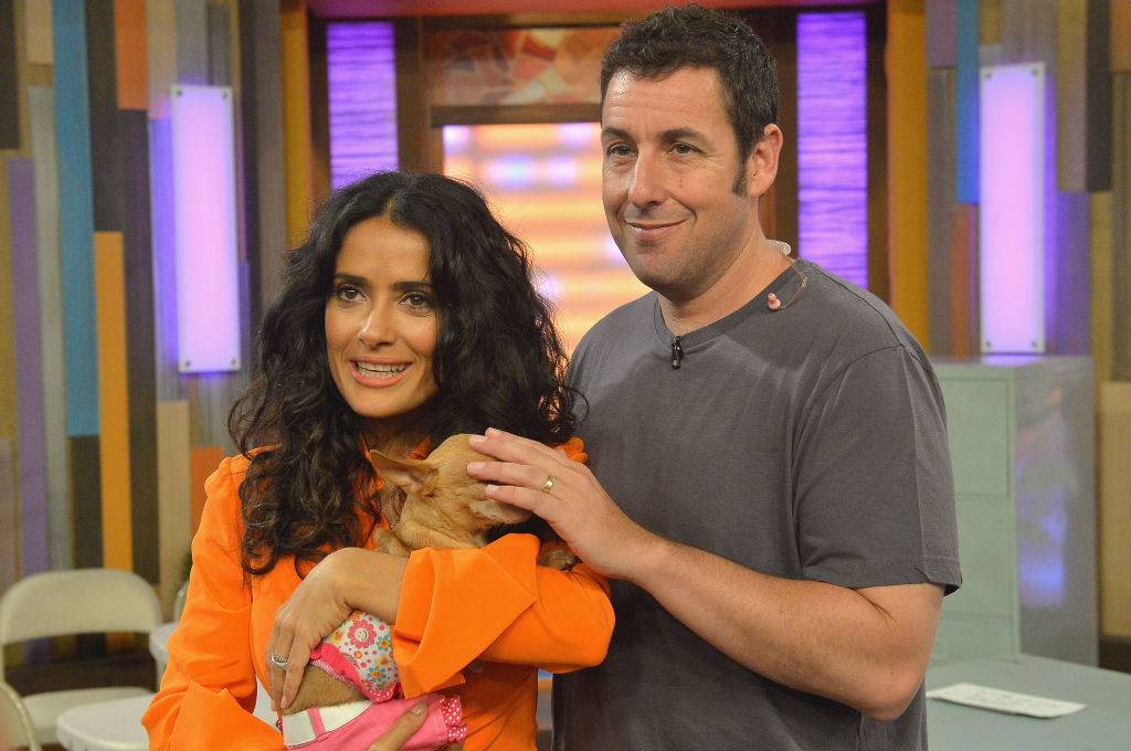 adam sandler and hayek in 2013