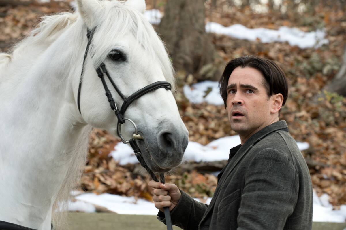 Colin Farrell holding horse's reins as Peter Lake in Winter's Tale