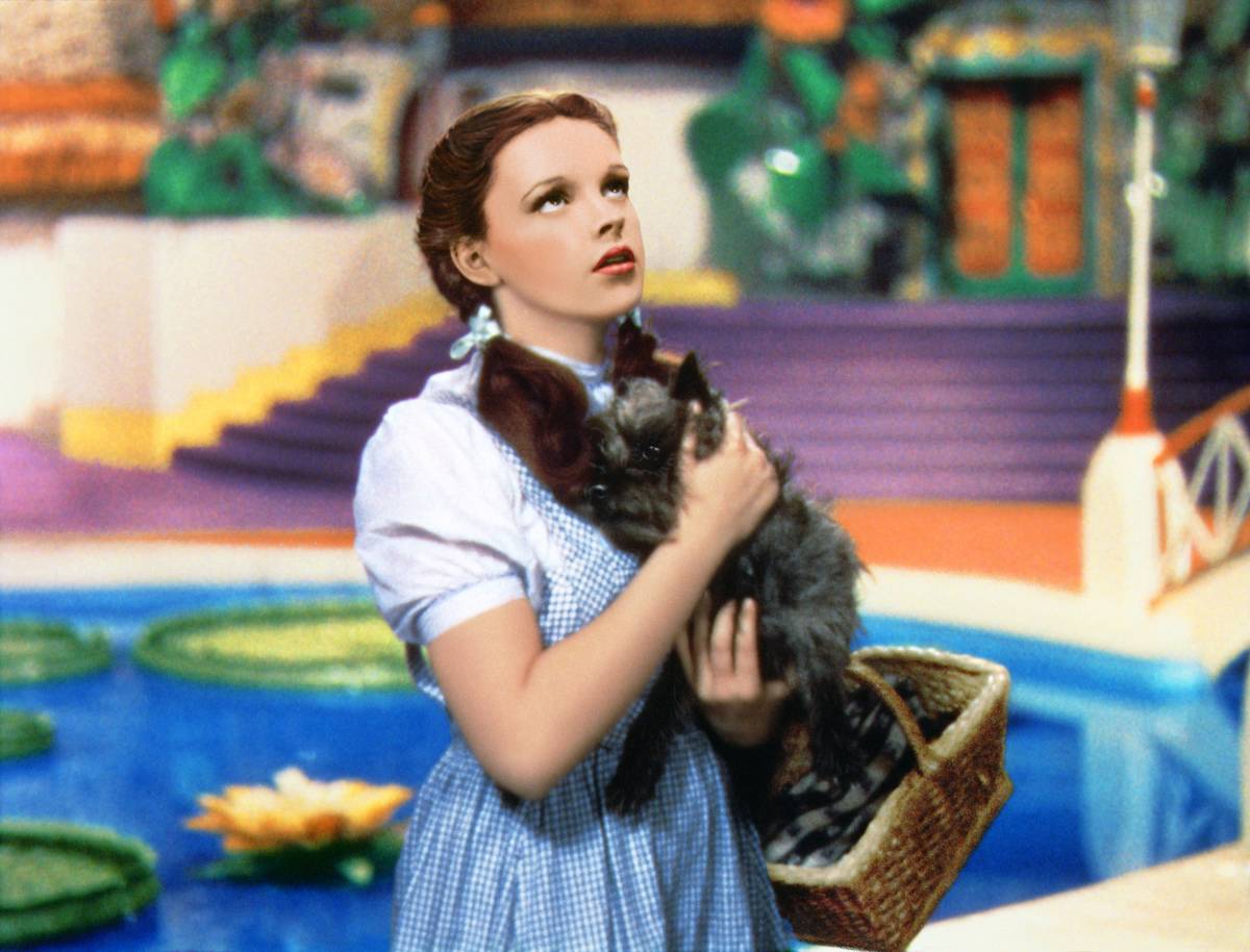 Dorothy Gale