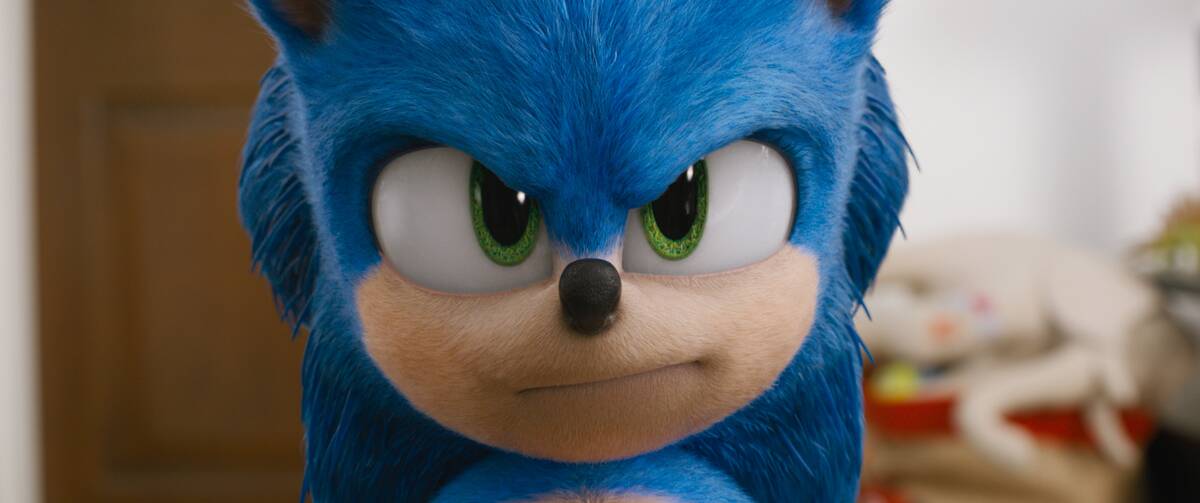 sonic the hedgehog blue hedgehog closeup