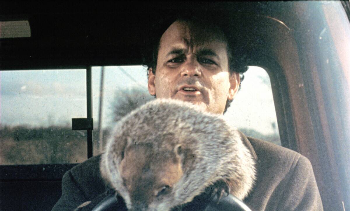 groundhog-day