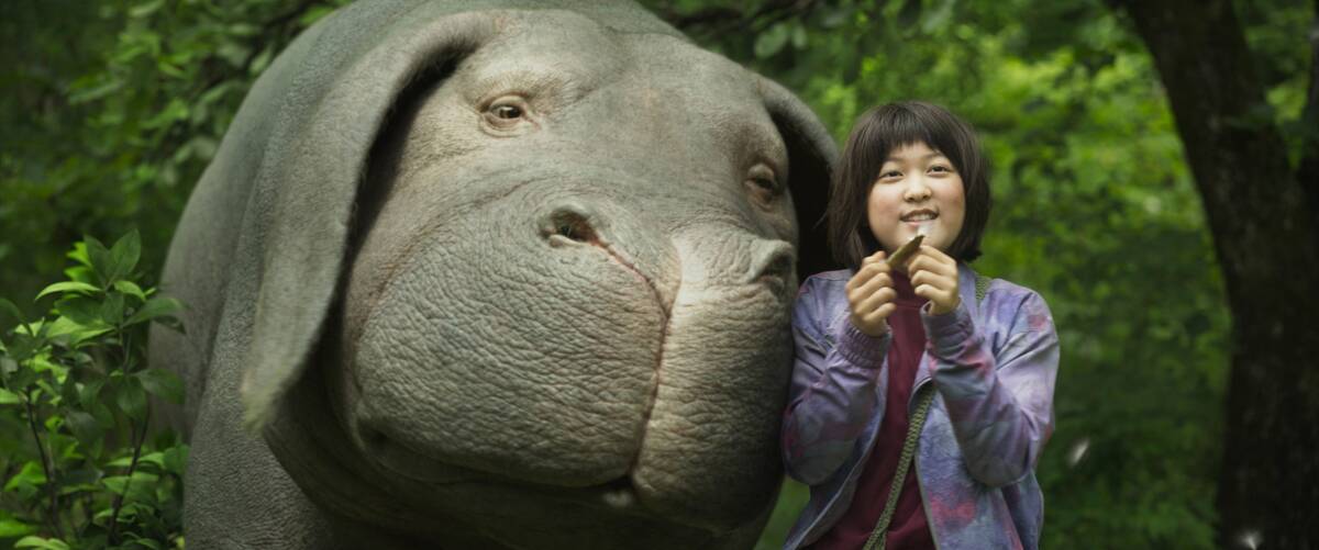 okja_CupQpN