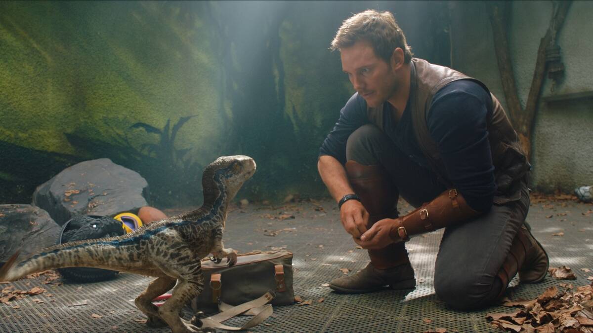 man talking to a dinosaur