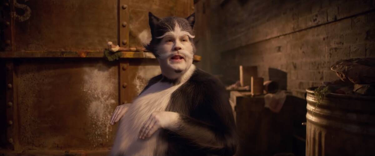 cats_y0i2Se