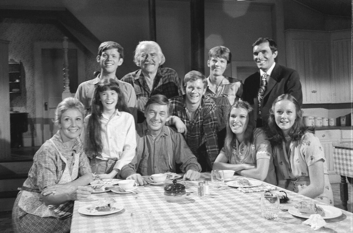 Portrait Of 'The Waltons'