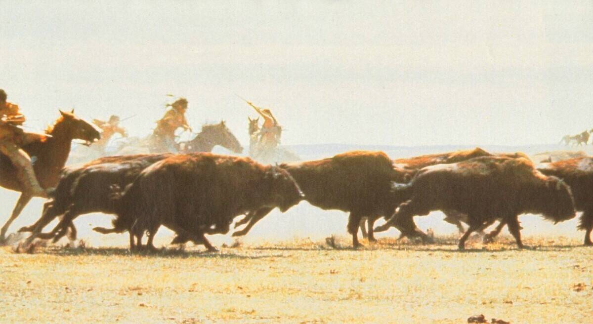 dances-with-wolves_pRgQXX