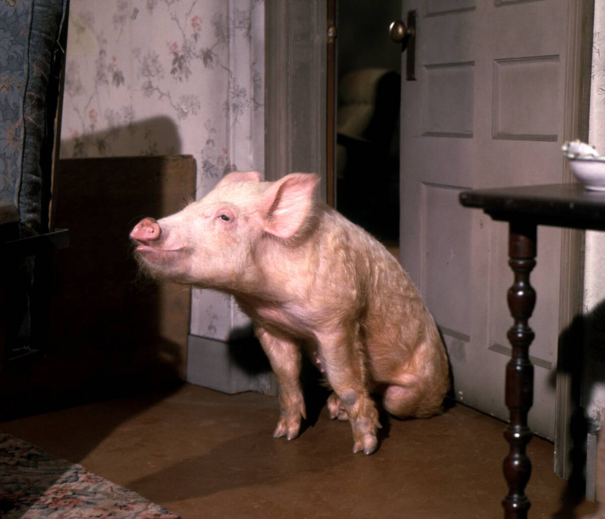 Green Acres