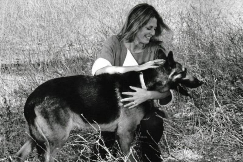 lindsay wagner
