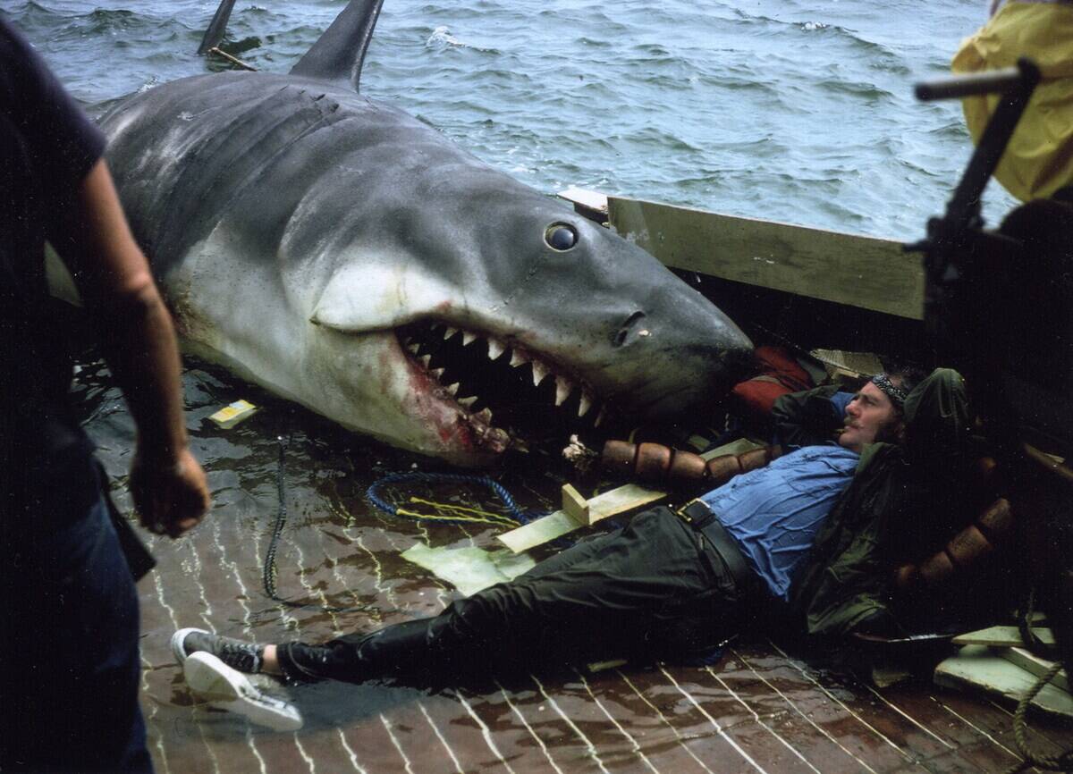 jaws_xDECNC