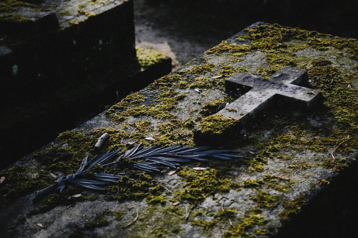 kenny-orr-1AVTo_bdHWs-unsplash
