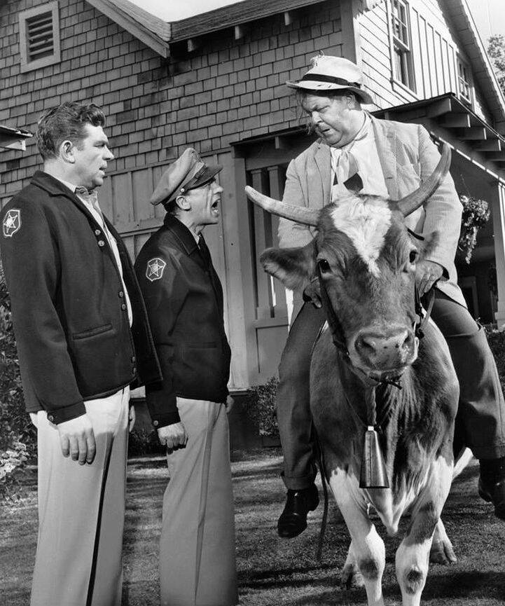 the-andy-griffith-show_lWYvby