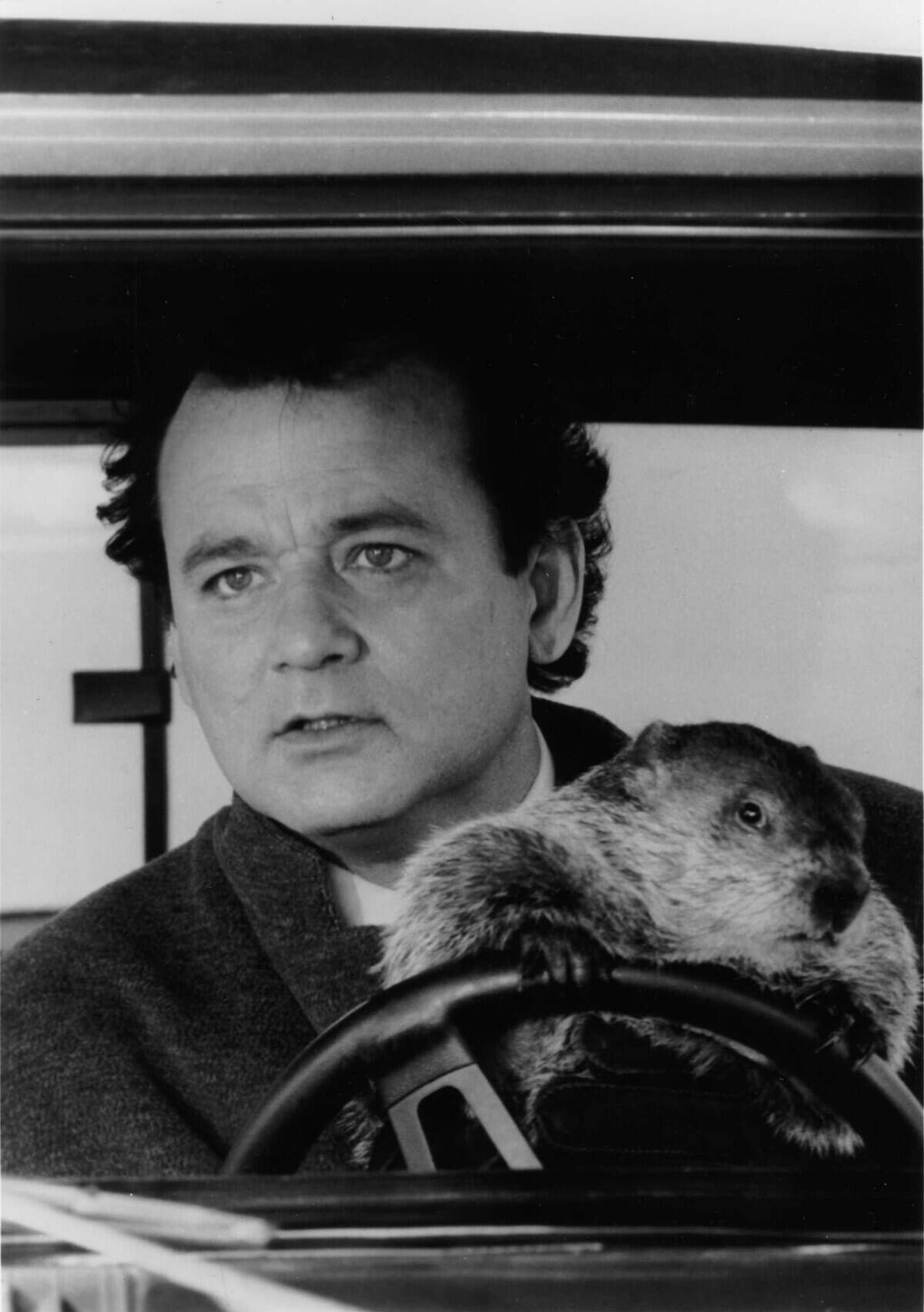groundhog-day_HhiaPu