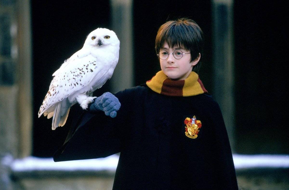harry-potter-and-the-sorcerers-stone_B8C7su-54155 (1)