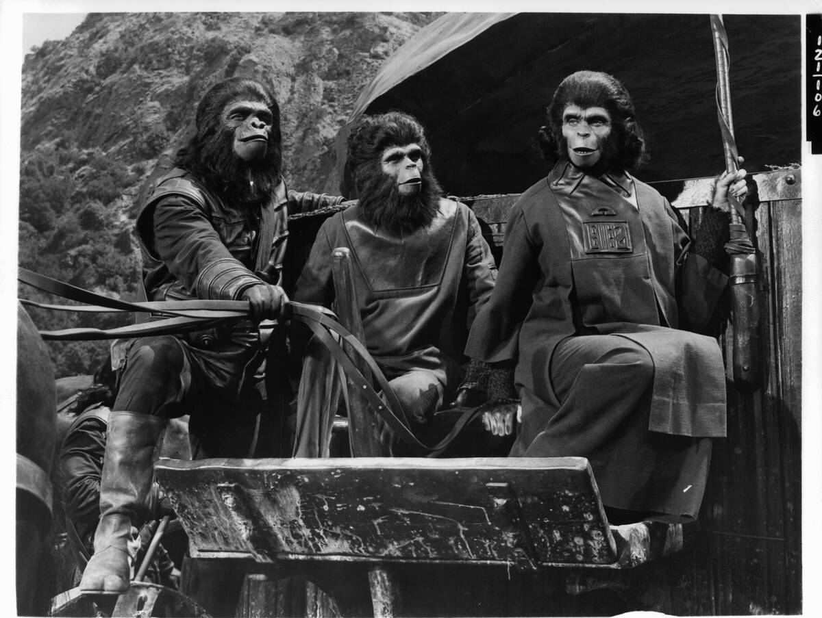 Kim Hunter In 'Planet Of The Apes'