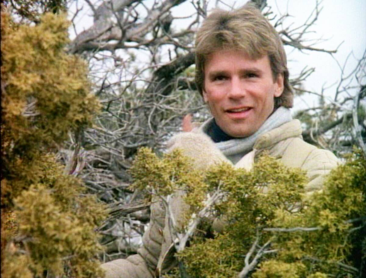 MacGyver